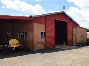 322 ha Farm in Marquard