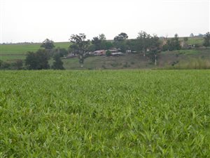 400 ha Farm in Winterton