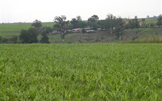 400 ha Farm in Winterton