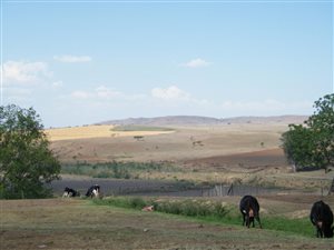 400 ha Farm in Winterton