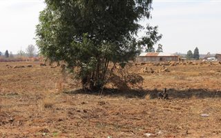 2855 m² Land available in Belfast