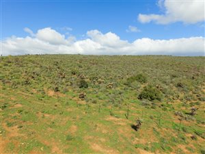 465 ha Farm in Riversdale