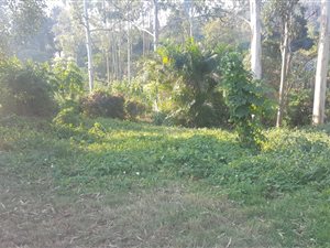 1.2 ha Land available in Paradise Valley