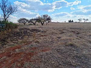 2351 m² Land available in Jameson Park