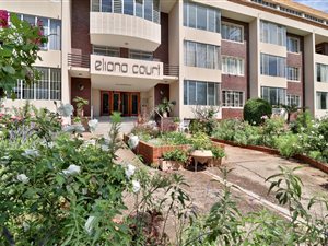 1 Bed Apartment in Norwood
