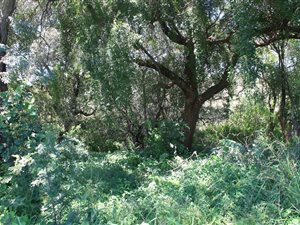 1225 ha Farm in Groot Marico