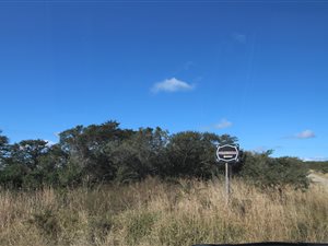 591 ha Farm in East London Rural