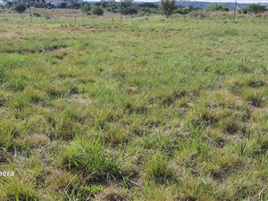 1037 m² Land available in Rietfontein