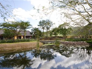 14.3 ha Farm in Stanger
