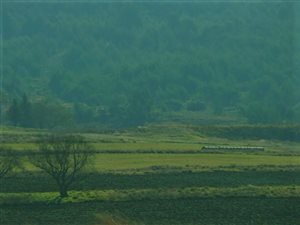 293 ha Land available in Dargle