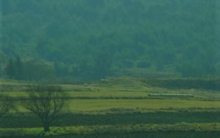 293 ha Land available in Dargle