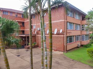 Bachelor apartment in Morningside