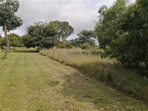 1 ha Land available in Randjesfontein