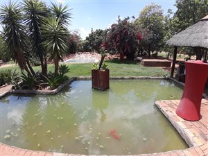 8.5 ha Smallholding in Lusthof