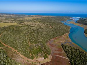 486 ha Farm in Kenton-on-Sea