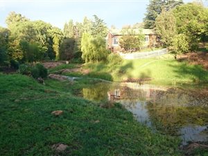 4 Bed House in Ruimsig