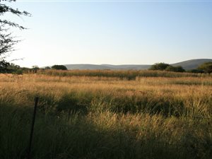 17 ha Farm in Bela-Bela (Warmbaths)