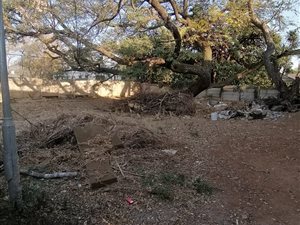 550 m² Land available in Brooklyn
