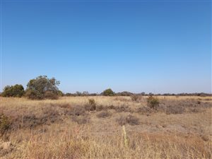 25 ha Farm in Roodeplaat