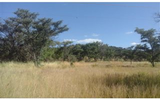 314 ha Farm in Alma