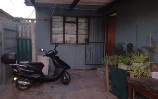 3 Bedroom House in Delft