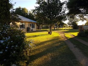 17 m² Farm in Mafikeng