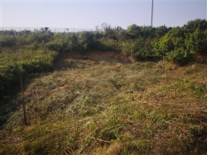 1615 m² Land available in Pinetown Central