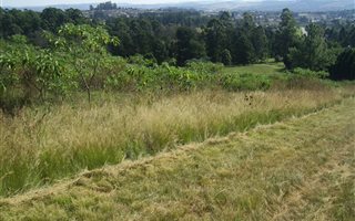 2 ha Land available in Merrivale