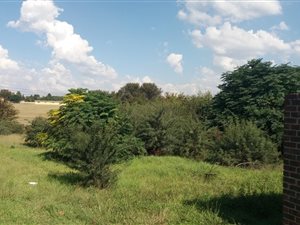 1279 m² Land available in Rothdene