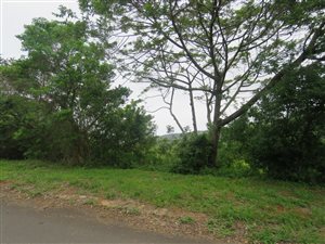 7 ha Land available in Desainagar