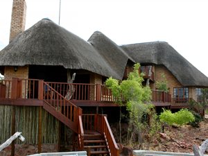 Game Farm in Bela-Bela (Warmbaths)