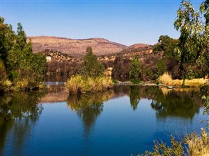 170 ha Farm in Parys