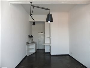 1 Bed Apartment in Maboneng