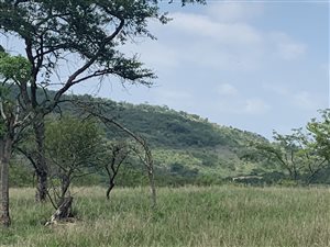 2.1 ha Land available in White River AH