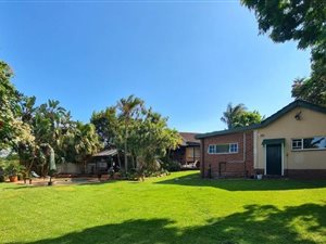 3 Bed House in Bisley