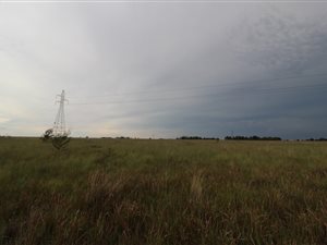 33.2 ha Farm in Bronkhorstspruit