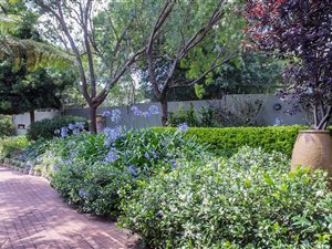 10 Bed House in Blackheath