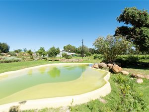 3 ha Farm in Blaauwklippen