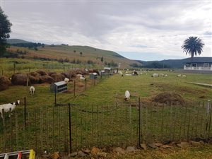73.2 ha Farm in Machadodorp