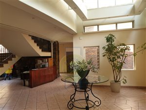 3 Bed Apartment in Hyde Park