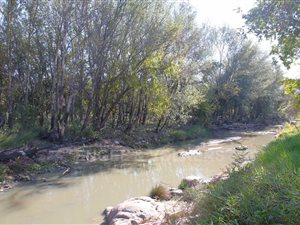 8565 m² Land available in Chartwell