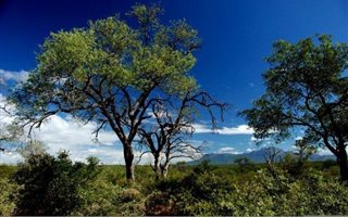 6070 m² Land available in Zandspruit Bush and Aero Estate