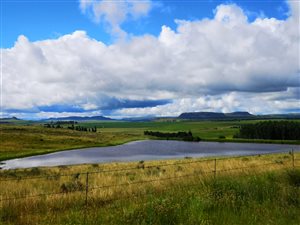 319.3 ha Farm in Ficksburg