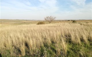 944 m² Land available in Riviersonderend