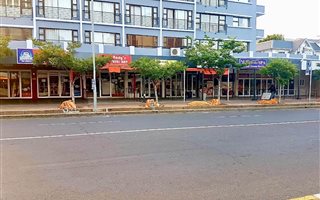 656 m² Retail Space in Sea Point