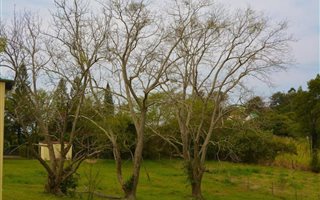 10.6 ha Farm in Izotsha