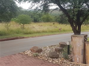 3 Bed House in Buffelspoort