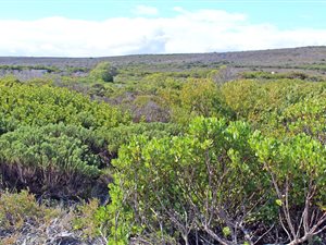 678 m² Land available in Agulhas