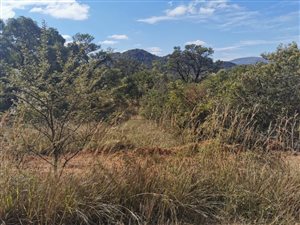 65 ha Farm in Mokopane