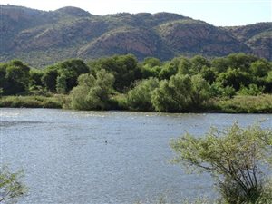 1.4 ha Farm in Vredefort